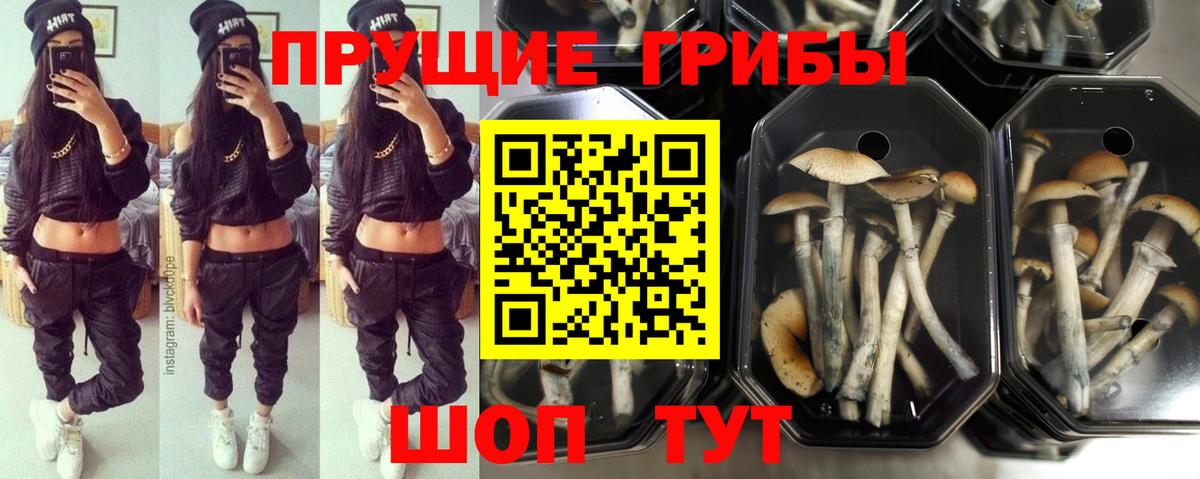 Галлюциногенные грибы Magic Shrooms Старая Русса