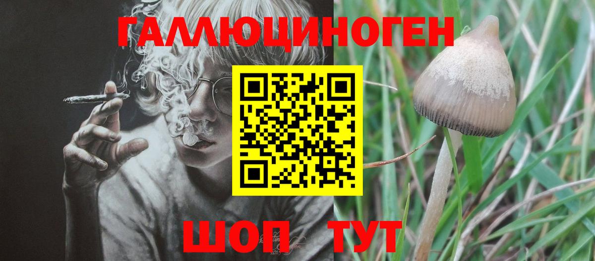 Псилоцибиновые грибы мухоморы  цены наркотик  Старая Русса  Вход с VPN  Псилоцибиновые грибы Cubensis 